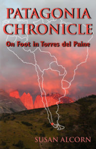 Patagonia Chronicle book cover